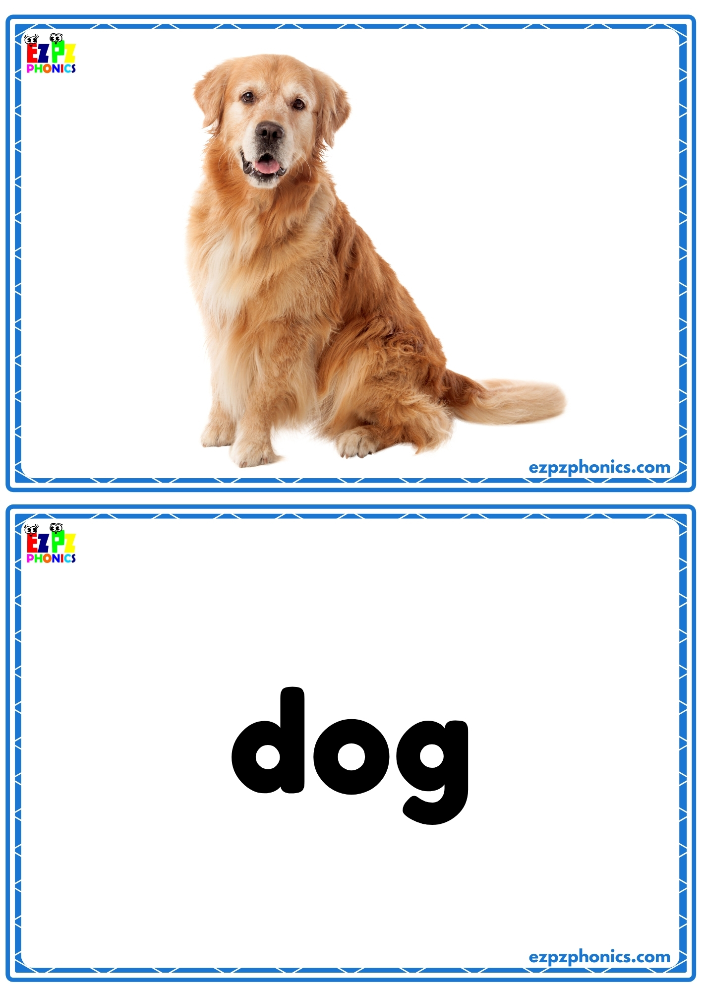 Pets Flashcards  Words on the Back for Easy Learning, Free PDF Download or Use Online